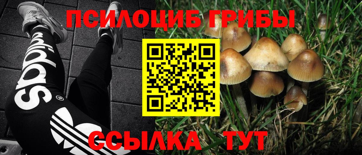 Псилоцибиновые грибы Cubensis  где продают наркотики  Рузаевка  Вход с VPN 